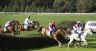 Casterton-Racecourse---horses-jumping-live-hedges-3-.jpg